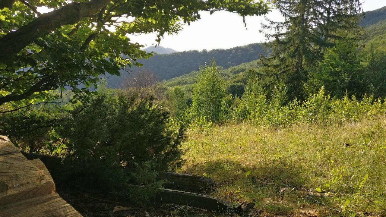 Садиба Федорчуків За Рікою1 Sheshory Extérieur photo