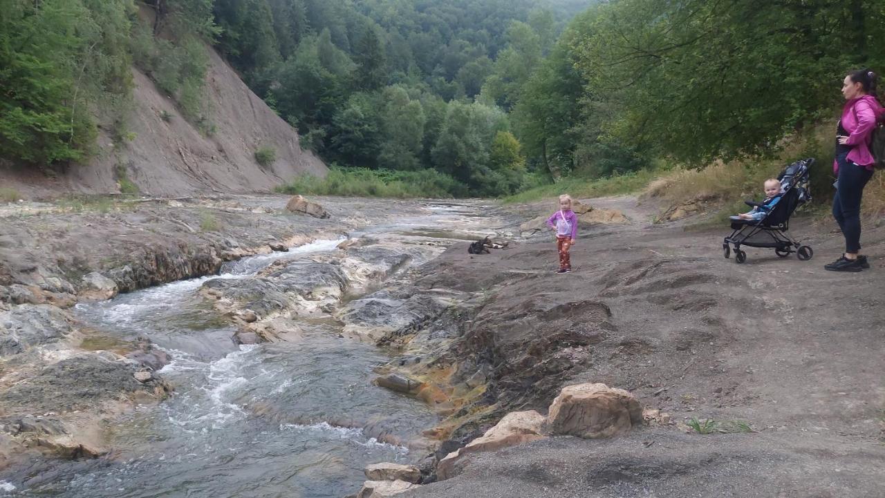 Садиба Федорчуків За Рікою1 Sheshory Extérieur photo